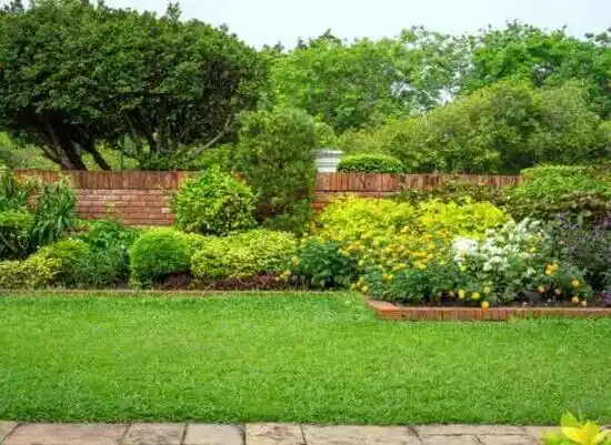 landscaping services Viburnum